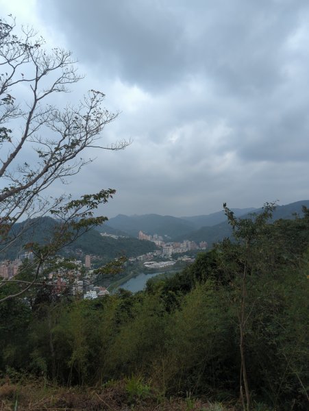 2025.12.14－微笑山線：【二格山系】和美山螢火蟲段2966254