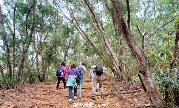 【苗栗三義】台灣百大必訪步道。 火炎山、南鞍古道O繞x火炎山下花海2954161