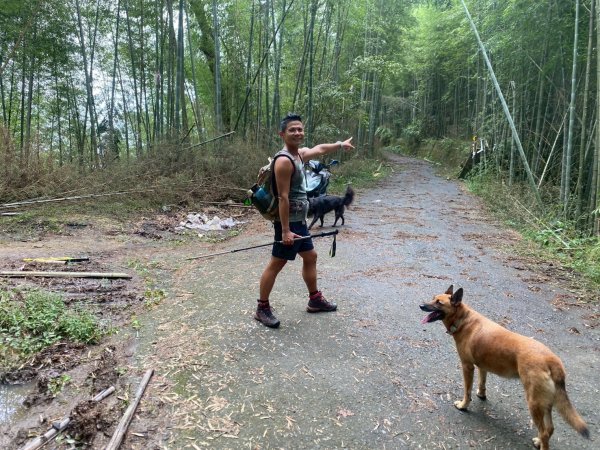 溪頭山-竹崙山-志騰山【夏日最愜意的避暑路線】2891500