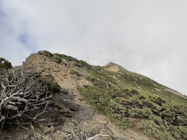 玉山後四 -鹿山 2024 10/18 三天兩夜2865430