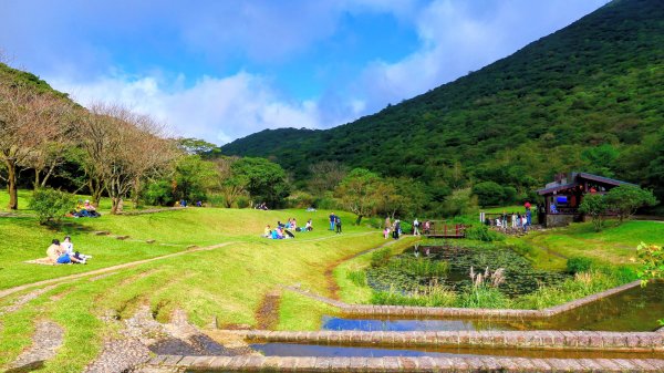 向天蝦不蝦2936844