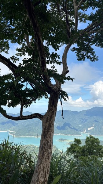 三腳南山2799597
