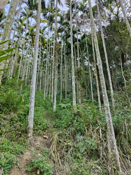 2024.02.17 關西金山2845304