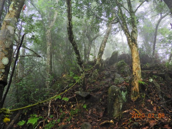 新竹 五峰 鬼澤山828314