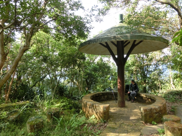 大崙頭尾山92927