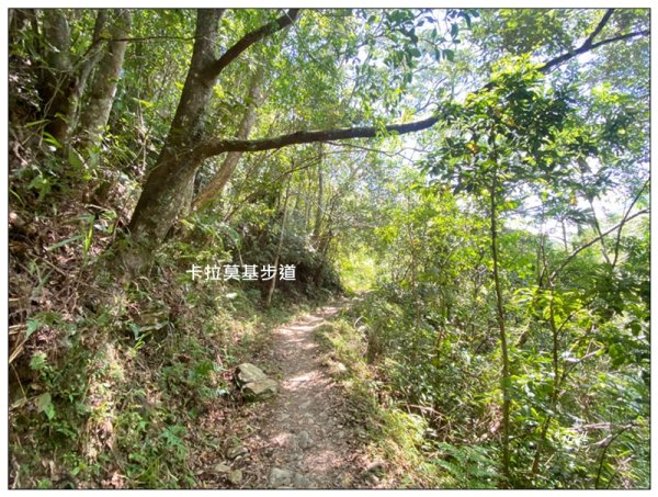 卡拉莫基步道、哈盆古道、波露南山 連走3094808