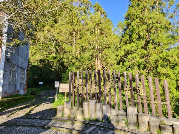 [百山百鳥尋旅-12/15] 2025_0928 特富野古道2899587