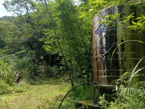 雙溪區柑腳城威惠廟+柑腳城山(下坑山)去回2796652