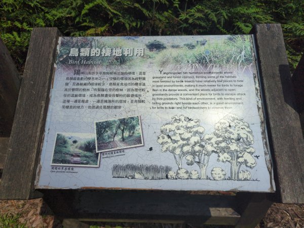2025.04.27－金包里大路~小油坑縱走2770918