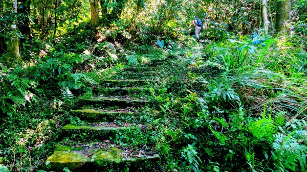 經營時間的早餐店2993554