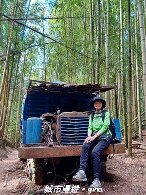 【台中和平】山林野餐。長壽山(肥崠山)山徑2969444