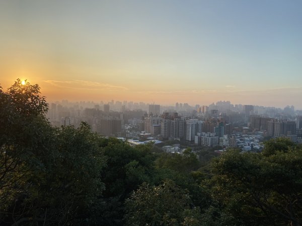 20231209 桃園市桃園區 虎頭山公園2387620