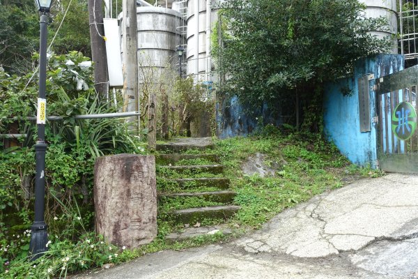 觀音台 水柳腳登山步道3085142
