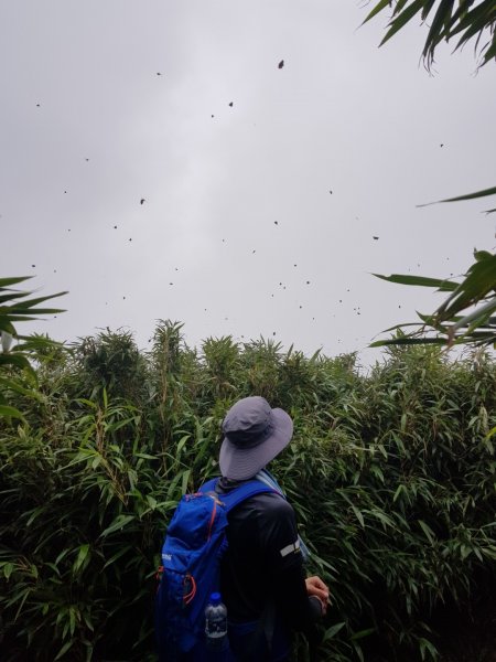 小觀音山O型（台北抹茶山）1010058