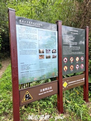 【台中和平】橫嶺山自然步道_木馬古道3095013