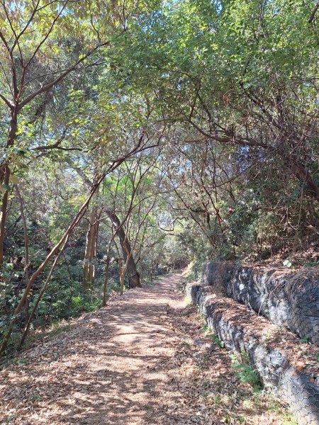 大肚環保公園步道+大尖山+萬里長城步道萬里長城步道202512072956502