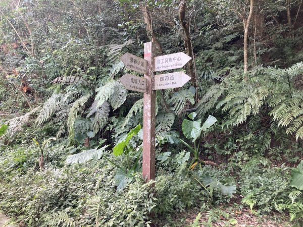 石門山登山步道2396637