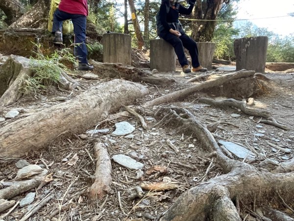 一日南橫二星人品爆發2995797