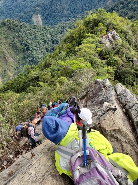 稍來山賞紅榨槭1205451