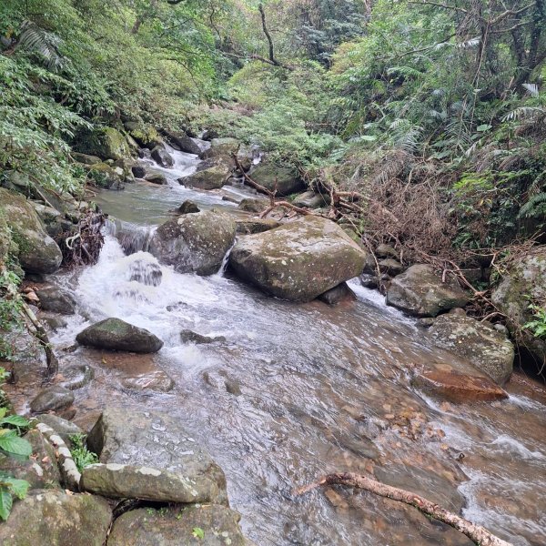 【2025草嶺古道芒花季】完成!2929467