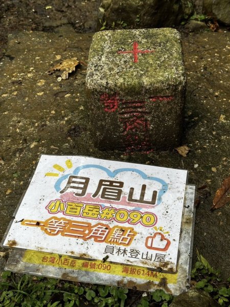 20260203小百岳月眉山鯉魚山2994865