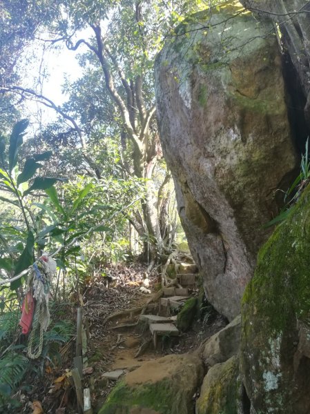 土城清水大尖山/朱財華紀念步道834006