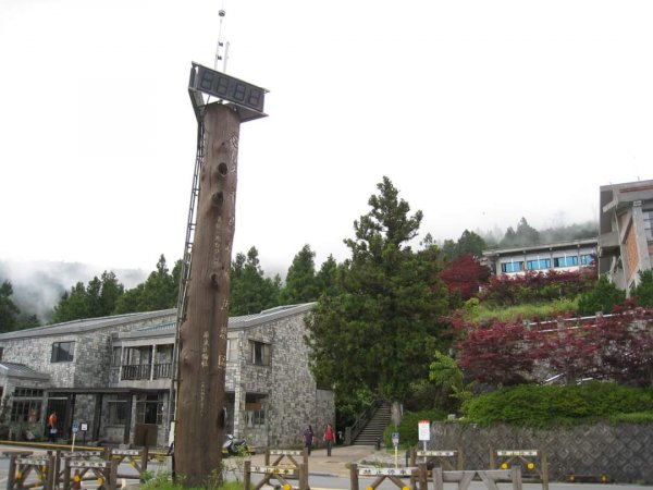 〔太平山〕見晴懷古步道 翠峰湖環山步道 山毛櫸步道。〔南投〕奧萬大國家森林遊樂區 鹿谷鳳凰谷鳥園2129262