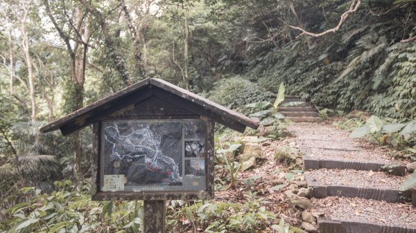 馬胎古道 （馬胎一期、南坪古道、內灣老街）3073882