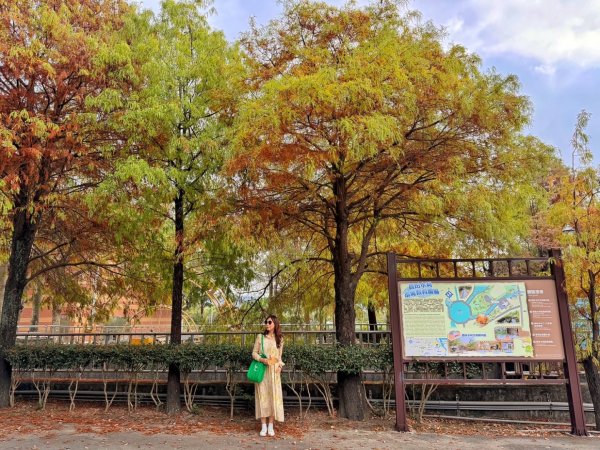 龍過脈森林步道2960929