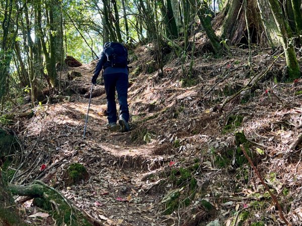 船型山環走大雪山210林道2978049