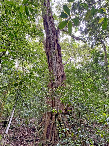 石山秀湖夢幻仙境悠遊行1013358