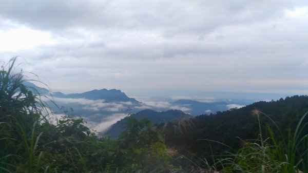 油羅山1495424