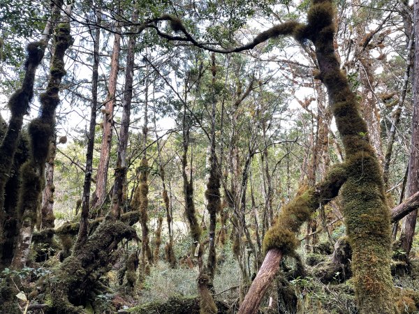 魔幻森林三星山與三星池1658309