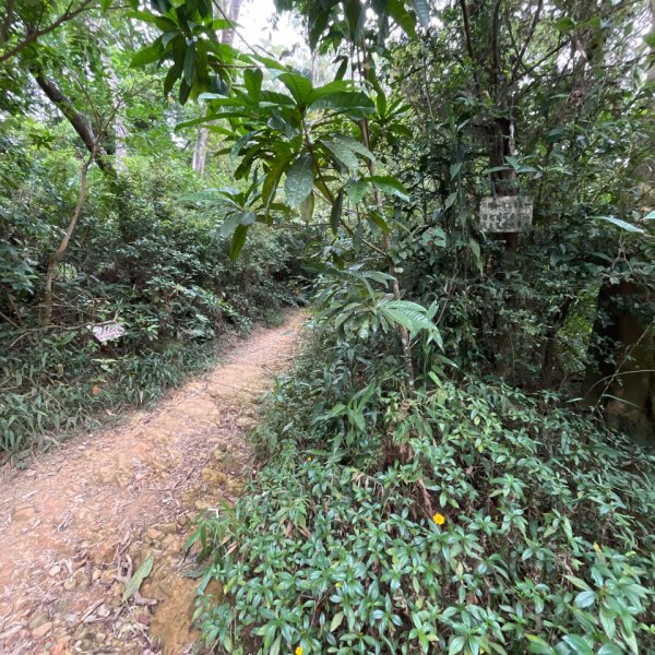 20251130_棚集山+斜坡上藝術節（屏東小百岳）2968596