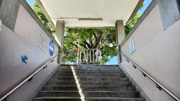 【台灣健行】斜陽與咖啡香：在東海藝術街，把日子過成一首漫長的詩3129649