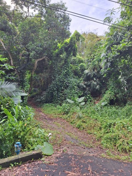 泰安登山步道+七塊山O型走202409252607311