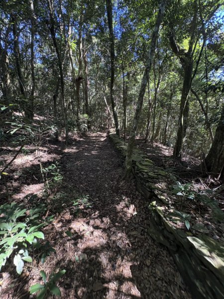 20251116鳴海山、網子山登山步道2938440