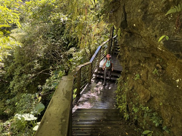 竹坑溪步道 202506282827151