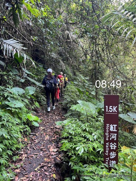 輕鬆的森林浴步道——紅河谷步道3076856