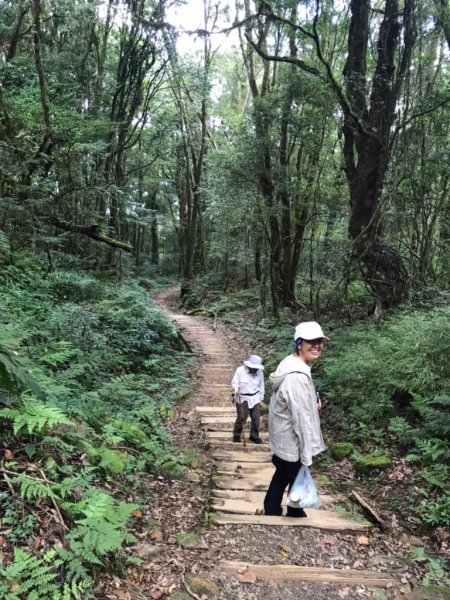 【阿里山】特富野古道1093766