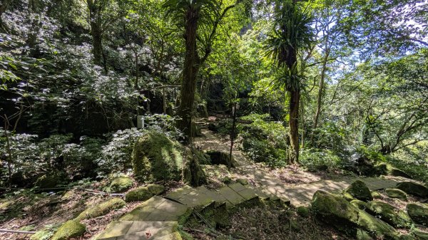 115.07.26孝子山-慈母峰-嶺腳瀑布-望谷瀑布之旅3091126