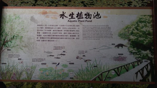 福山植物園964648