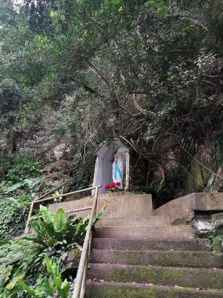 花蓮的必訪步道：美崙山公園、林田山林業文化園區 - 2022/2/31671494