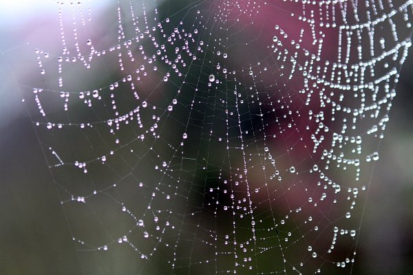 杉林溪賞花872589