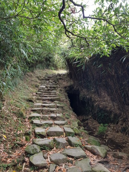 2020.08.18 北投-七星山主峰1071805