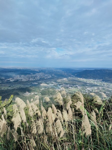 新竹百萬夜景大崎崠頂峰涼亭1596703