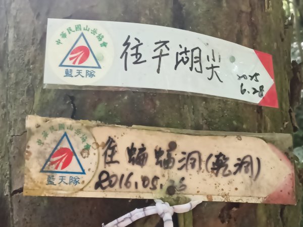 平溪區南山坪蝙蝠洞(濕洞)+平湖山+平湖尖+蝙蝠洞(乾洞)O型2833872