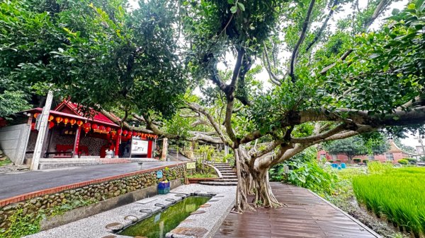 擁抱自然擁有文化2811670