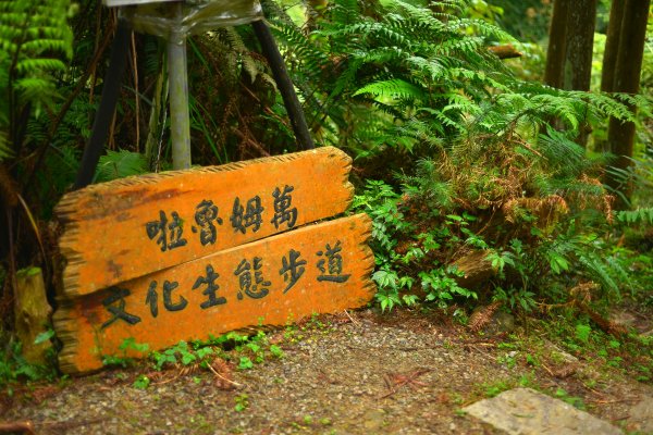 向天湖山步道 (大 O：含三角湖山、光天高山)2664922