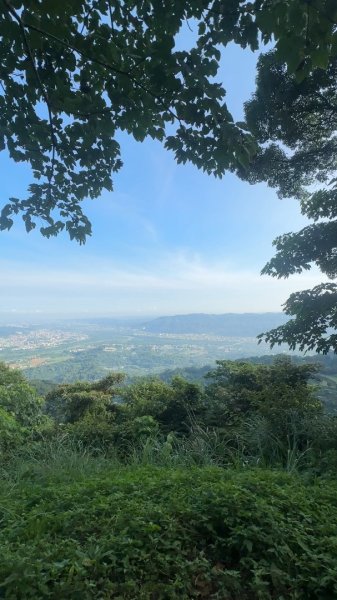 新竹橫山-大山背麒麟步道2628832